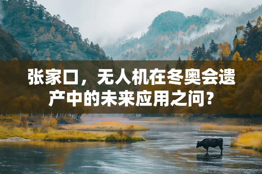 张家口，无人机在冬奥会遗产中的未来应用之问？