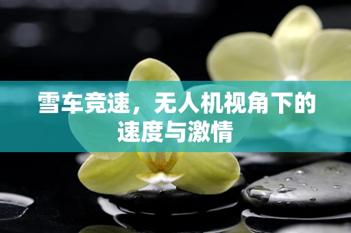 雪车竞速，无人机视角下的速度与激情