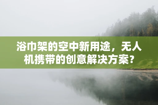 浴巾架的空中新用途，无人机携带的创意解决方案？