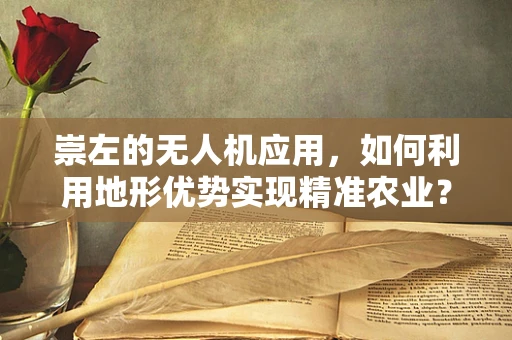 崇左的无人机应用，如何利用地形优势实现精准农业？