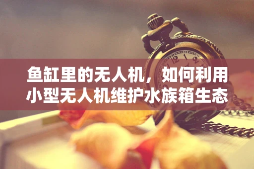 鱼缸里的无人机，如何利用小型无人机维护水族箱生态？