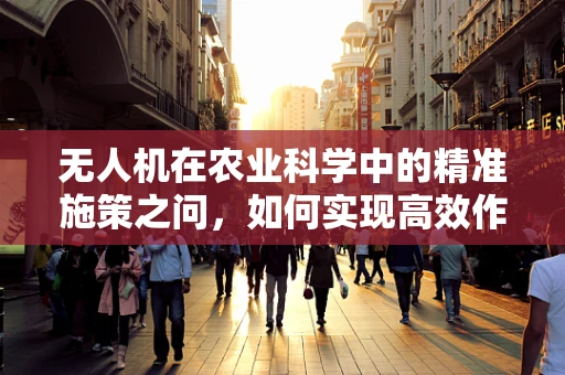 无人机在农业科学中的精准施策之问，如何实现高效作物监测？
