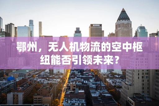 鄂州，无人机物流的空中枢纽能否引领未来？