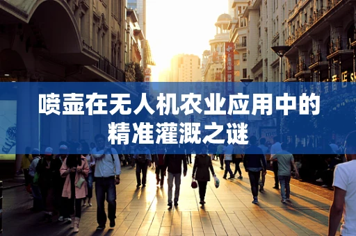 喷壶在无人机农业应用中的精准灌溉之谜
