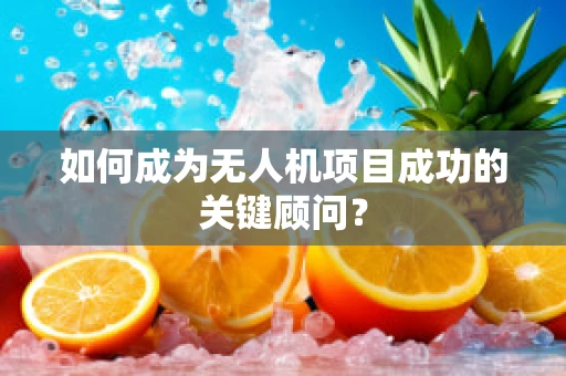 如何成为无人机项目成功的关键顾问？