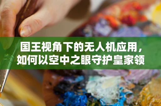 国王视角下的无人机应用，如何以空中之眼守护皇家领地？