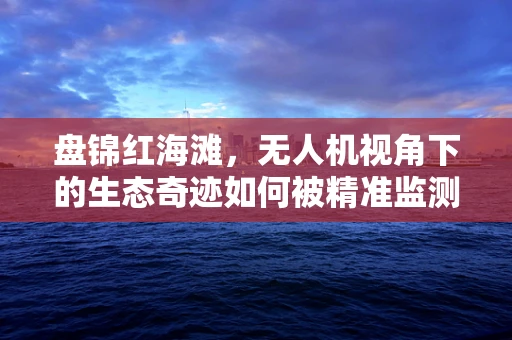 盘锦红海滩，无人机视角下的生态奇迹如何被精准监测？