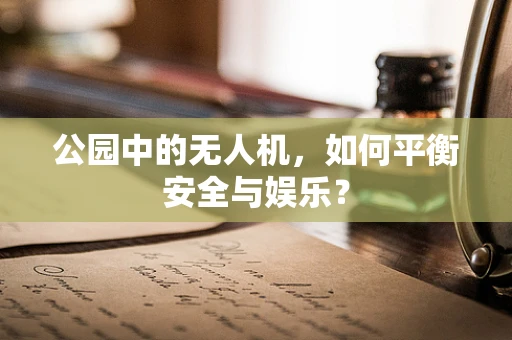 公园中的无人机，如何平衡安全与娱乐？