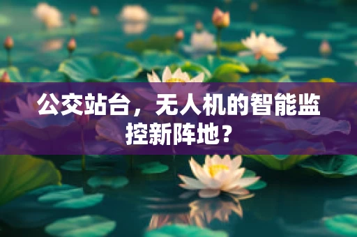 公交站台，无人机的智能监控新阵地？