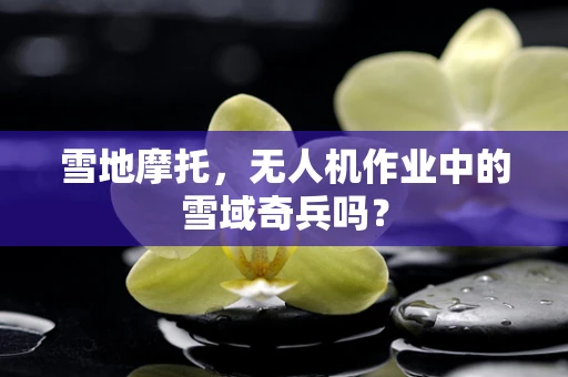 雪地摩托，无人机作业中的雪域奇兵吗？