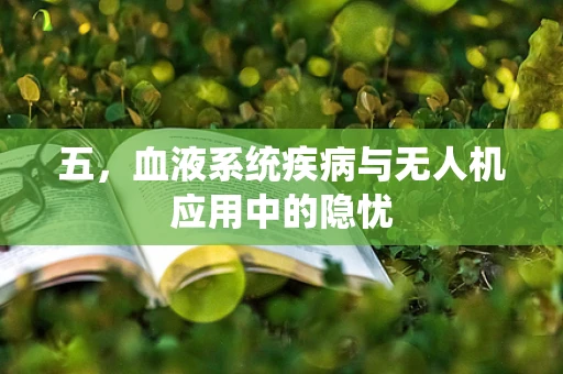 五，血液系统疾病与无人机应用中的隐忧