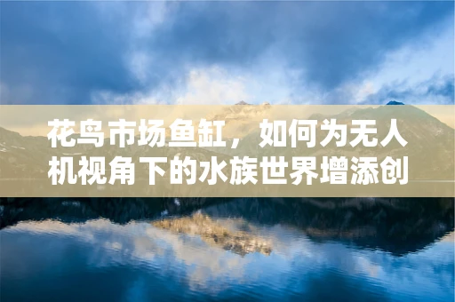 花鸟市场鱼缸，如何为无人机视角下的水族世界增添创意视角？