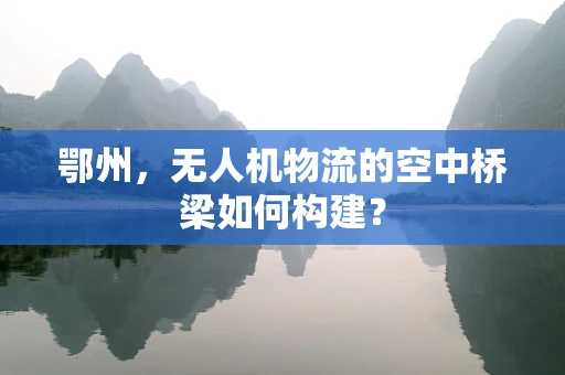 鄂州，无人机物流的空中桥梁如何构建？