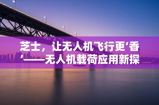芝士，让无人机飞行更‘香’——无人机载荷应用新探索？