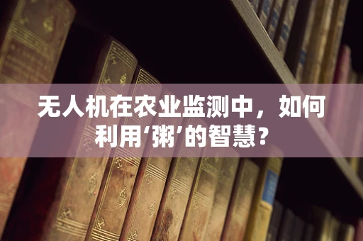 无人机在农业监测中，如何利用‘粥’的智慧？