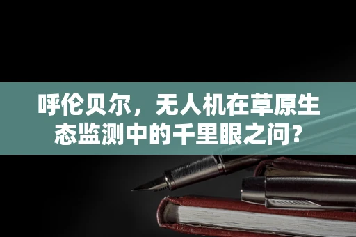 呼伦贝尔，无人机在草原生态监测中的千里眼之问？