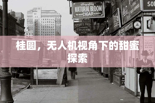 桂圆，无人机视角下的甜蜜探索