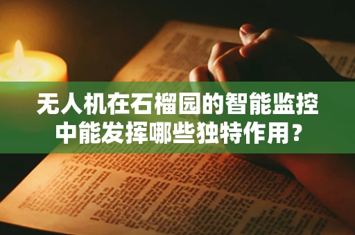 无人机在石榴园的智能监控中能发挥哪些独特作用？