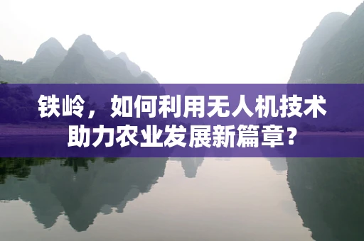 铁岭，如何利用无人机技术助力农业发展新篇章？