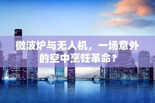 微波炉与无人机，一场意外的空中烹饪革命？