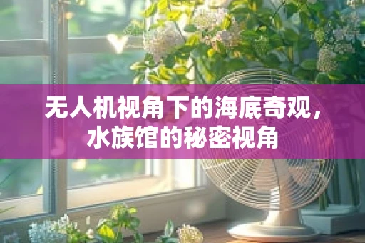 无人机视角下的海底奇观，水族馆的秘密视角