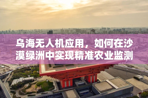 乌海无人机应用，如何在沙漠绿洲中实现精准农业监测？