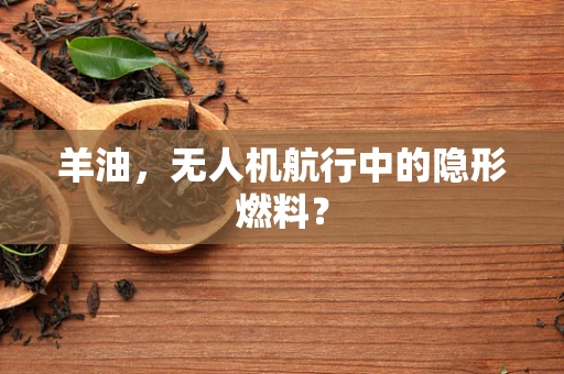 羊油，无人机航行中的隐形燃料？