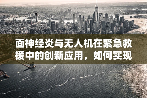 面神经炎与无人机在紧急救援中的创新应用，如何实现精准定位与快速响应？