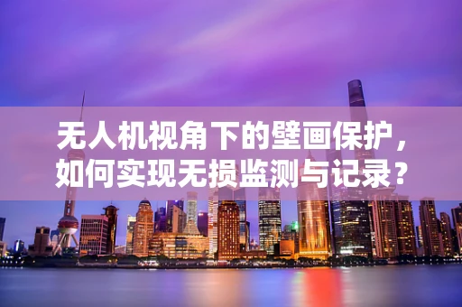 无人机视角下的壁画保护，如何实现无损监测与记录？