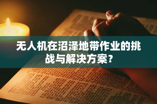 无人机在沼泽地带作业的挑战与解决方案？