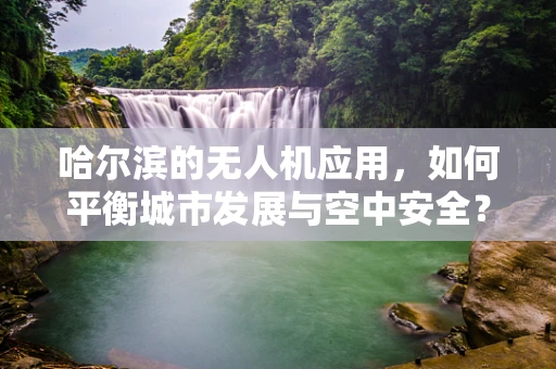 哈尔滨的无人机应用，如何平衡城市发展与空中安全？