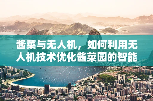 酱菜与无人机，如何利用无人机技术优化酱菜园的智能管理？