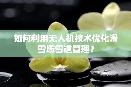 如何利用无人机技术优化滑雪场雪道管理？