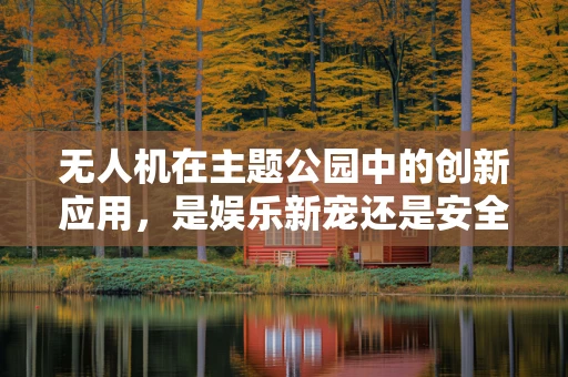 无人机在主题公园中的创新应用，是娱乐新宠还是安全隐忧？