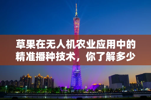 草果在无人机农业应用中的精准播种技术，你了解多少？
