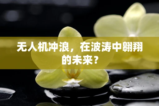 无人机冲浪，在波涛中翱翔的未来？