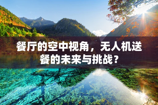 餐厅的空中视角，无人机送餐的未来与挑战？