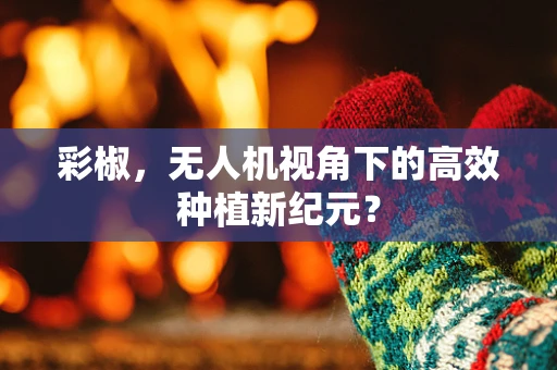 彩椒，无人机视角下的高效种植新纪元？
