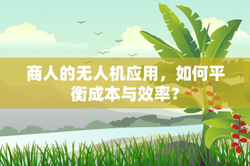 商人的无人机应用，如何平衡成本与效率？