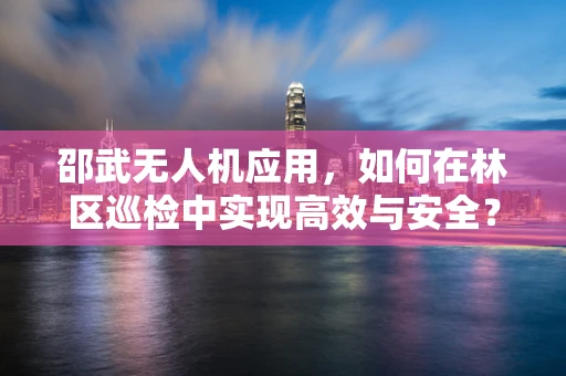 邵武无人机应用，如何在林区巡检中实现高效与安全？