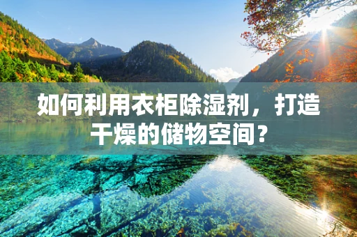 如何利用衣柜除湿剂，打造干燥的储物空间？