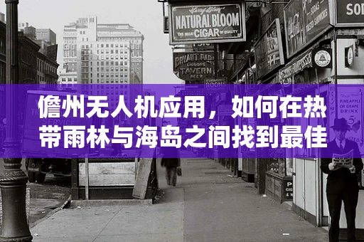儋州无人机应用，如何在热带雨林与海岛之间找到最佳飞行路径？