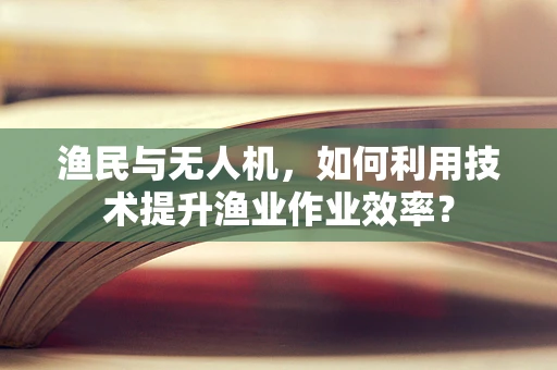 渔民与无人机，如何利用技术提升渔业作业效率？
