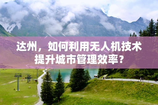 达州，如何利用无人机技术提升城市管理效率？