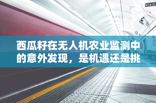 西瓜籽在无人机农业监测中的意外发现，是机遇还是挑战？