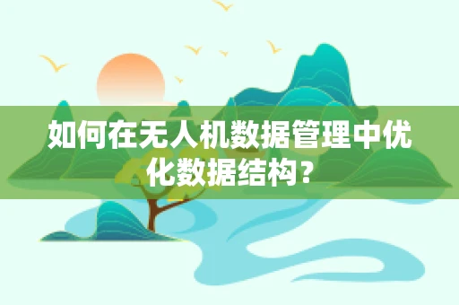 如何在无人机数据管理中优化数据结构？