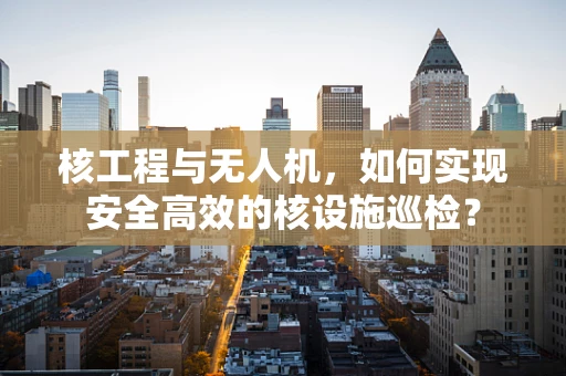 核工程与无人机，如何实现安全高效的核设施巡检？