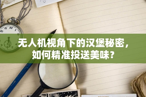 无人机视角下的汉堡秘密，如何精准投送美味？