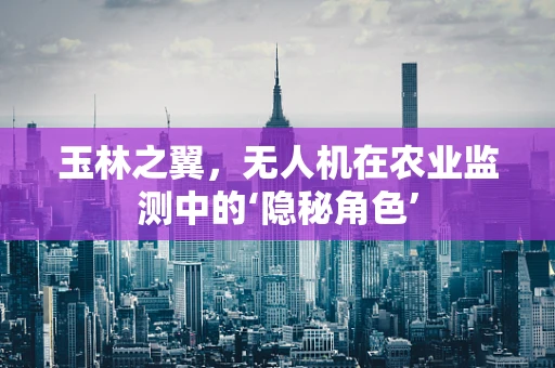 玉林之翼，无人机在农业监测中的‘隐秘角色’