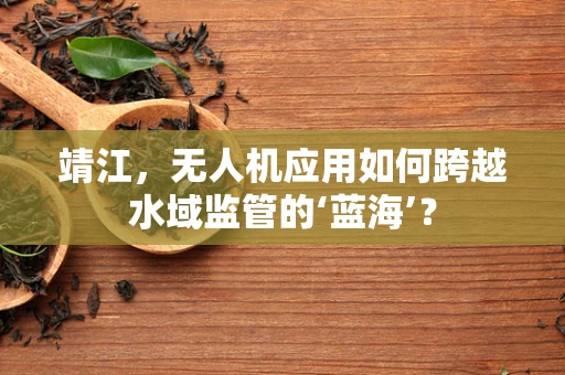 靖江，无人机应用如何跨越水域监管的‘蓝海’？